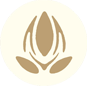 Logo :: SANHE Fisioterapia y Masajes, centro de fisioterapia y masaje tradicional chino en Madrid